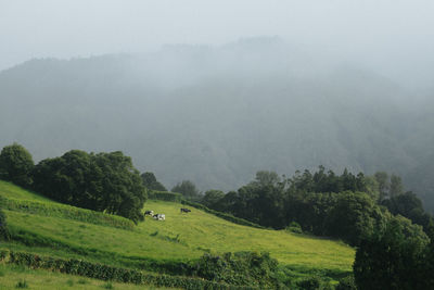 Scenic view of landscape