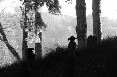 Panoramic shot of trees on field