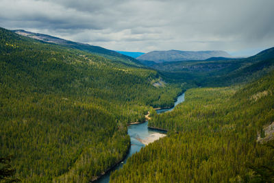 nature