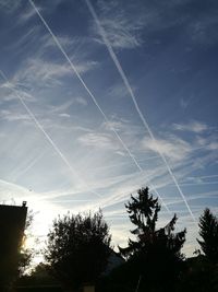 Low angle view of silhouette trees against sky