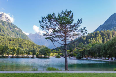 Scenic view of lake by trees against sky