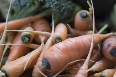 Close-up of food