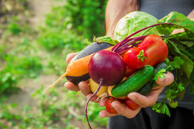 Midsection of man holding fruit