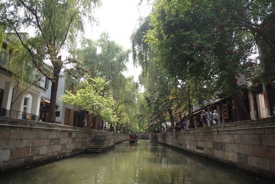 Canal amidst trees during rainy season