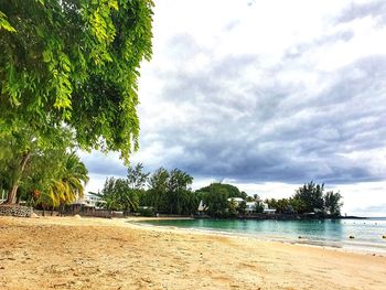 Scenic view of beach against sky