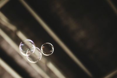 Close-up of water drop