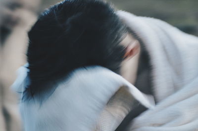 Close-up of cat sleeping