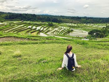 Rear view of woman sitting in field