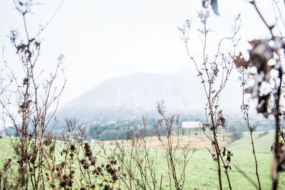 Scenic view of landscape against clear sky