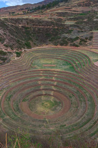 High angle view of agricultural field