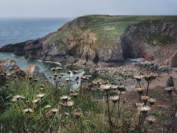 Scenic view of sea against sky