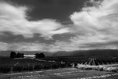 Scenic view of field against sky
