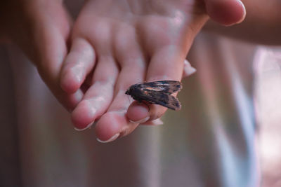 Close-up of hand holding leaf at beach