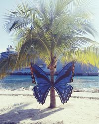 Palm tree on beach