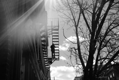 Low angle view of bare tree and buildings against sky