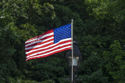 Red flag against plants and trees