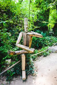 Wooden structure on field in forest