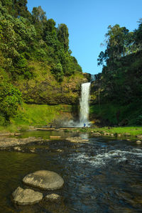 Scenic view of waterfall in forest against sky