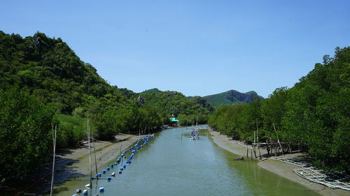 Scenic view of river amidst trees against blue sky