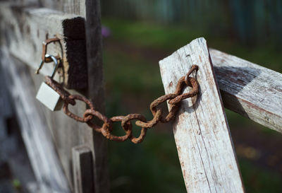 Close-up of rusty chain on fence