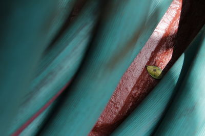 Close-up of leaf amidst pipe