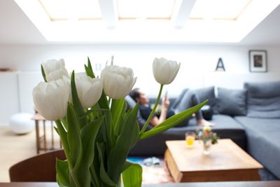 Close-up of fresh white tulips against woman lying on sofa at home
