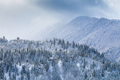 Scenic view of snow mountains against sky