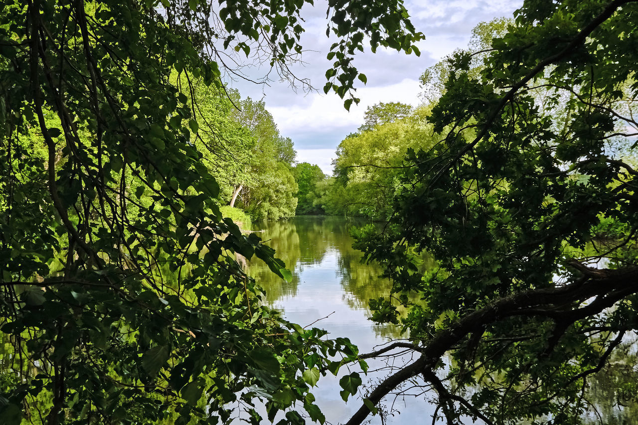 REFLECTION OF TREES ON LAKE AGAINST SKY