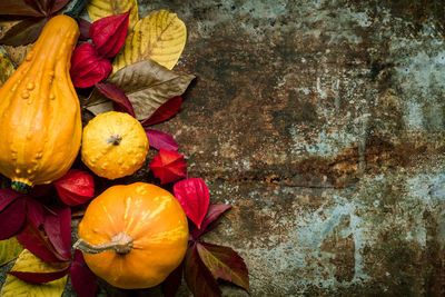 Happy thanksgiving background. selection of various pumpkins on dark metal background. 