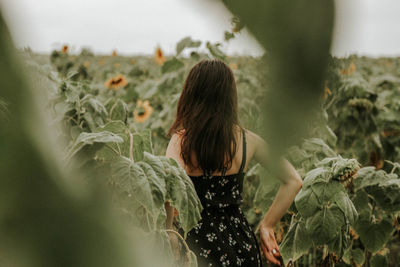 Young woman standing at sunflower farm