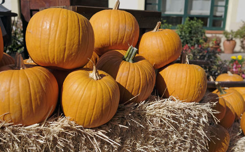 Pumpkins for sale at market stall