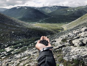Cropped hand of man holding berries against mountain