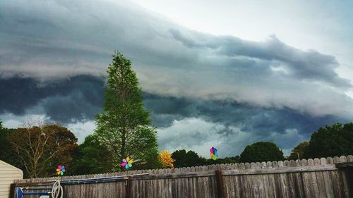 Low angle view of trees against cloudy sky