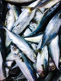 Close-up of fish for sale in market