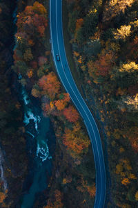 High angle view of road amidst trees during autumn