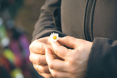 Close-up of person holding flower