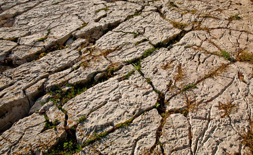 Detail of rock surface washed by the sea for ages. coast line of losinj island, croatia.