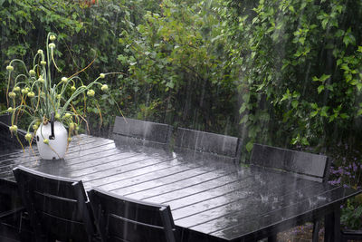 Table and chairs against plants during rainy season