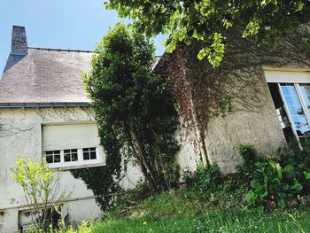 Trees and house against sky