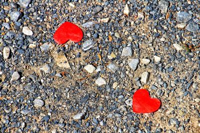 Close-up of red pebbles