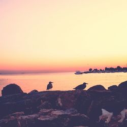 Scenic view of sea against clear sky at sunset