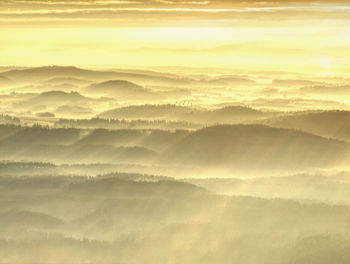 Aerial view of colorful mixed forest shrouded in morning fog on a beautiful autumn day