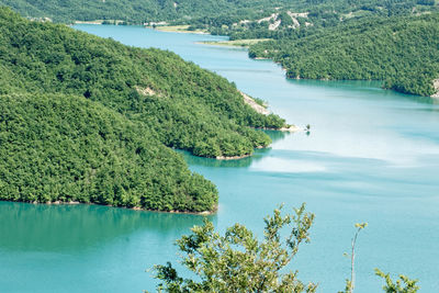 High angle view of sea and trees