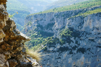 Scenic view of mountains