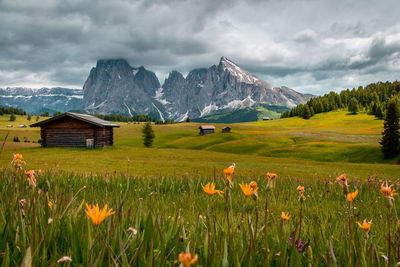 One of my favorite places in the alps