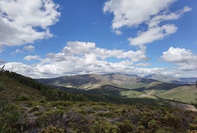 environment