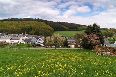 Scenic view of grassy field by houses against sky