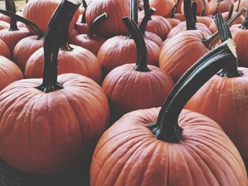 Close-up of pumpkins for sale at market