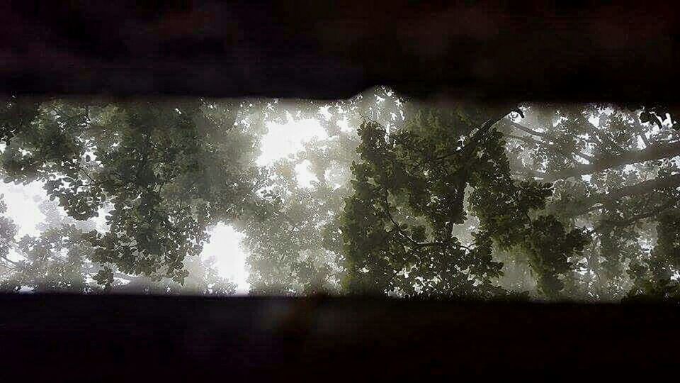 riad 13