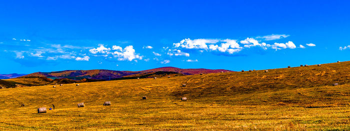 Scenic view of field against blue sky